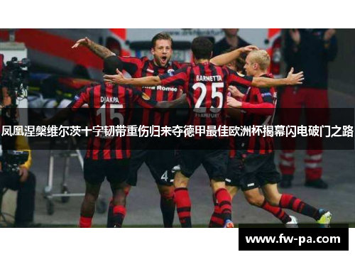 凤凰涅槃维尔茨十字韧带重伤归来夺德甲最佳欧洲杯揭幕闪电破门之路