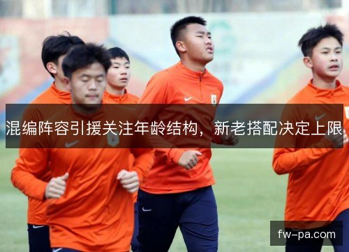 混编阵容引援关注年龄结构,新老搭配决定上限 混编阵容引援关注年龄结构,新老搭配决定上限